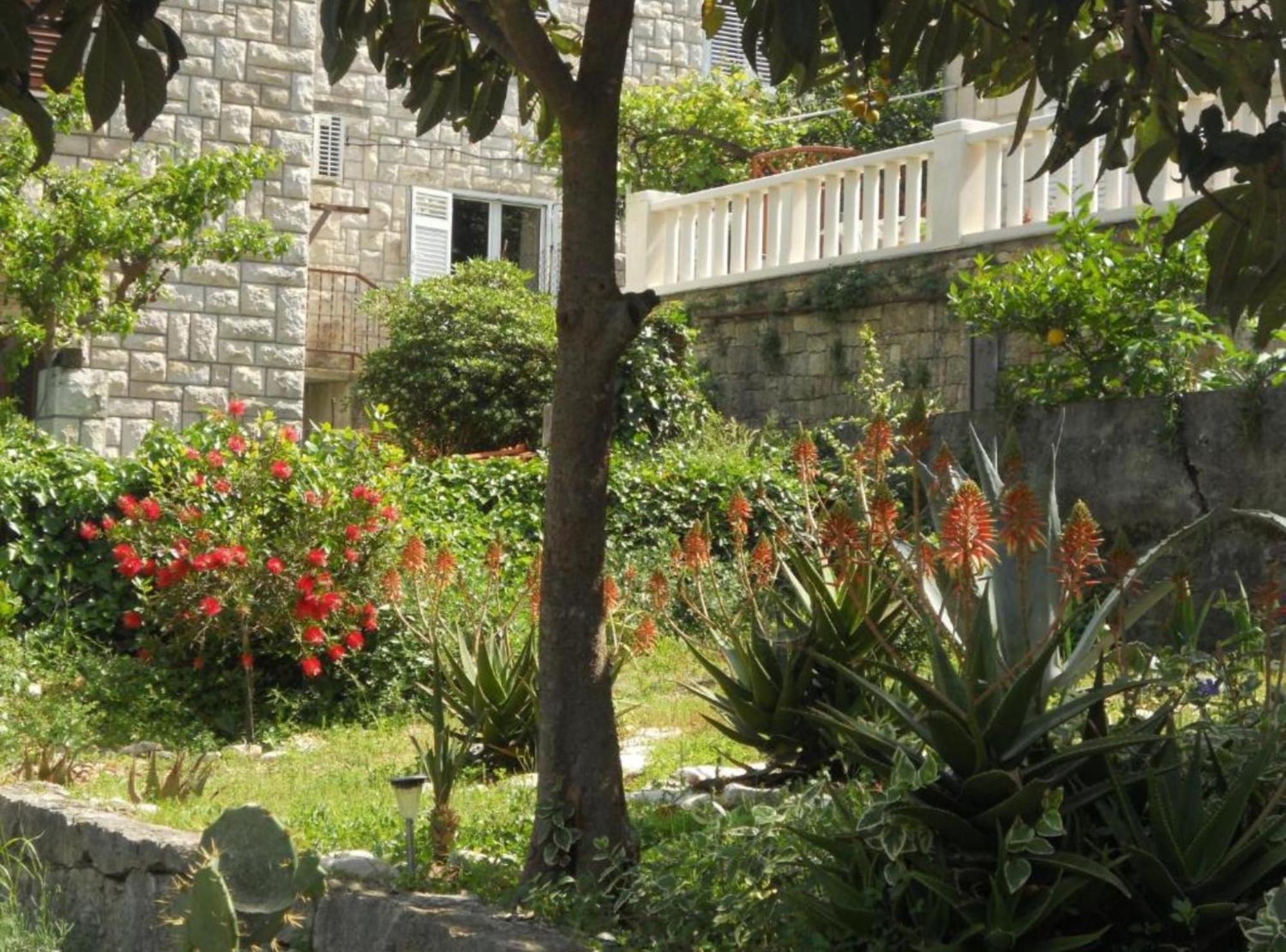 Apartment Plaza Korčula Zewnętrze zdjęcie